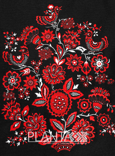 Сукня OVERSIZE з вишивкою 